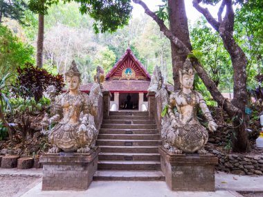 Chiang Mai, Tayland 'da Wat Pha Lat manzarası