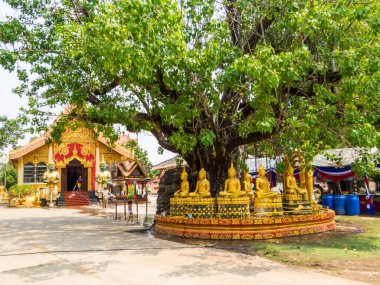 Wat Phonexai manzarası. Vientiane 'de, Laos