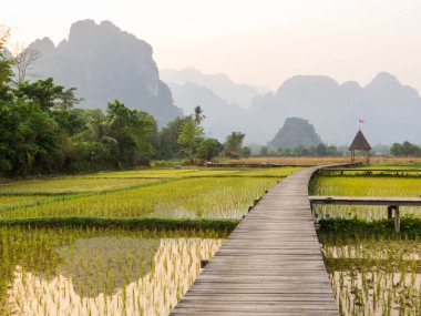 Vieng Tara Villa Rice Fields manzarası. In Vang Vieng, Laos