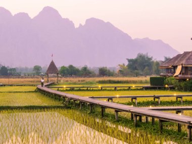 Vieng Tara Villa Rice Fields manzarası. In Vang Vieng, Laos