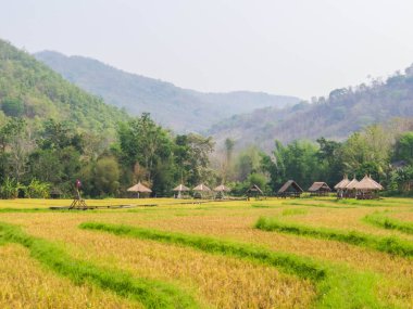 Luang Prabang yakınlarındaki güzel manzara, Laos