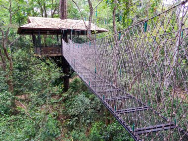 Luang Prabang 'daki Ağaç Evi, Laos