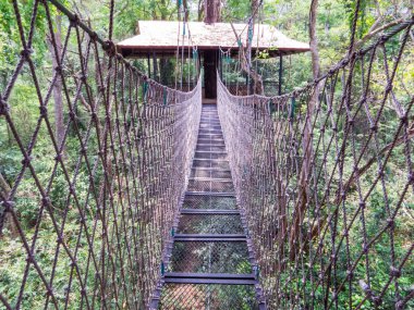 Luang Prabang 'daki Ağaç Evi, Laos