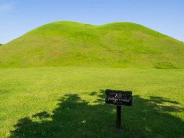 Daereungwon Mezar Kompleksi manzarası. Güney Kore, Gyeongju 'da.