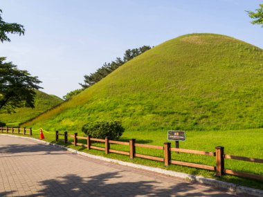 Daereungwon Mezar Kompleksi manzarası. Güney Kore, Gyeongju 'da.