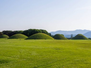 Daereungwon Mezar Kompleksi manzarası. Güney Kore, Gyeongju 'da.