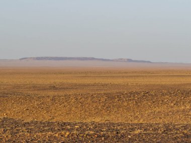 Typical landscape in the Gobi Desert, Mongolia