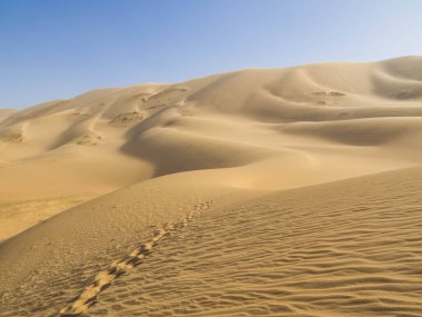 Amazing landscape in Hongor Sand Dunes, Gobi Desert, Mongolia