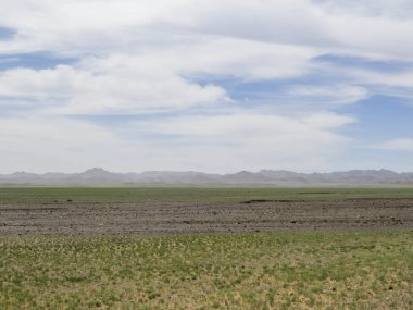 Tipik Moğol bozkırları