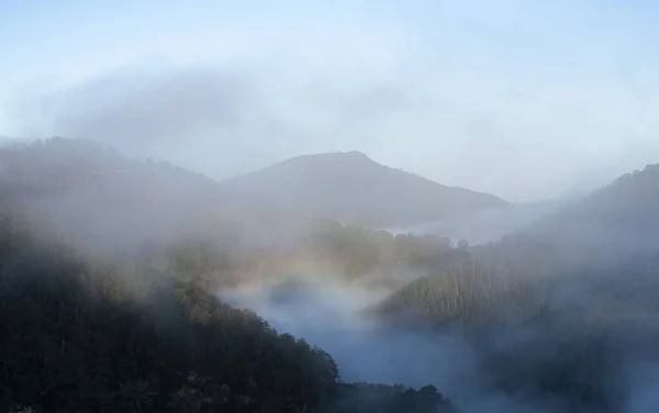 Der Nebel Der Morgendämmerung Bedeckt Das Tal Des Urumea Flusses — Stockfoto