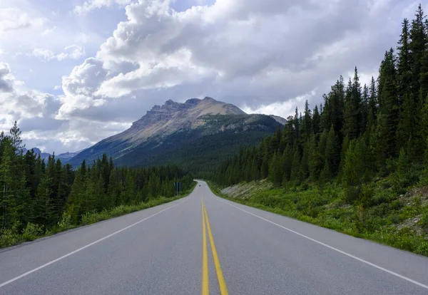 stock image Icefields Parkway Road in Jasper National Park, Canada