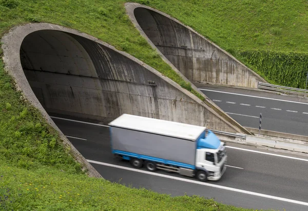 Truck speeding through a highway tunnel.