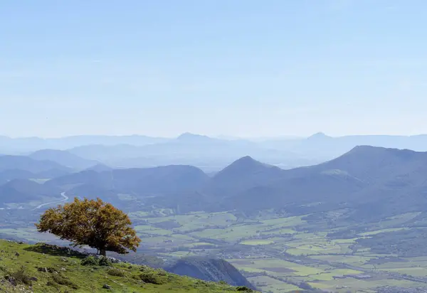 Baum Mit Herbstfarben Und Den Bergen Navarras Hintergrund lizenzfreie Stockbilder