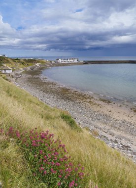 Gyles Rıhtımı, Mountbagnall, İrlanda