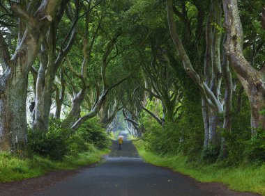 Yağmurda yürüyen bir kadın. Karanlık Çitlerdeki Kadın, Kuzey İrlanda 'nın Antrim ilçesinde yol boyunca uzanan kayın ağaçlarından oluşan bir bulvar..