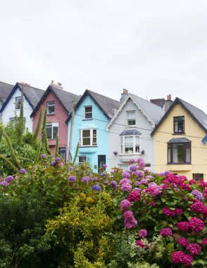 Cobh, County Cork, İrlanda Cumhuriyeti 'ndeki renkli evler.