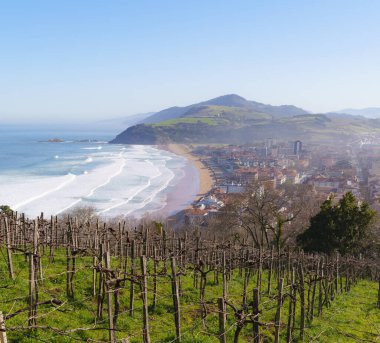 Zarautz, Euskadi 'deki üzüm bağları