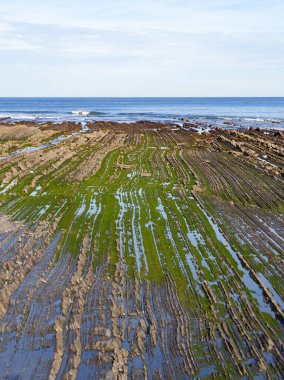 Zumaia ve Deba arasındaki Flysch, Euskadi.