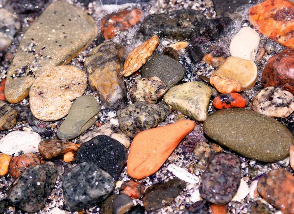 Sahildeki deniz taşı, taştan çakıl taşlarından oluşan taşların web sitesi arka planı.