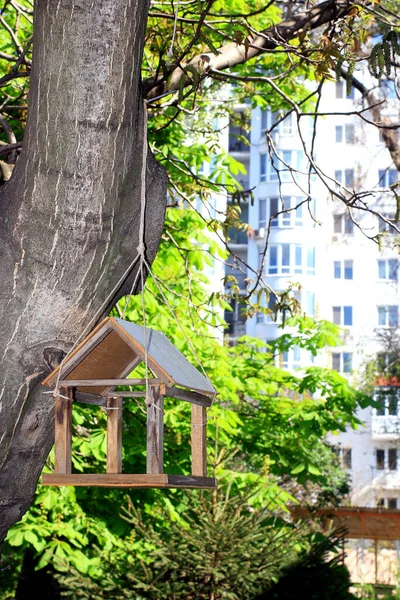 Kuş besleyicili ev, doğa geçmişi, bahar zamanı