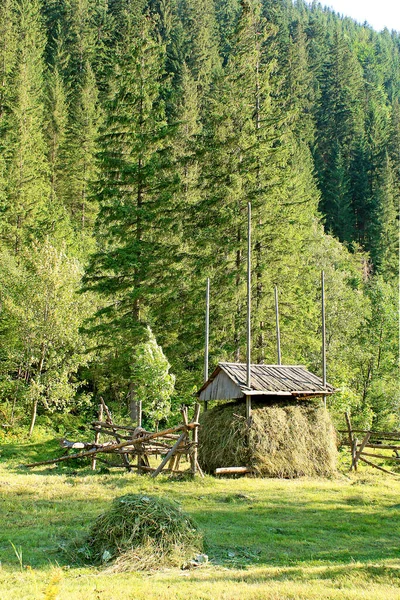 Karpat Dağları 'nda samanlığı olan güzel bir manzara.
