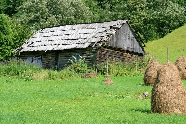 Old wood hut in summer in a forest on the background of a mountain beautiful rural landscape with green trees and grass in the Carpathians beautiful landscape