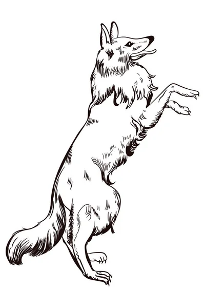Vector Illustratie Van Hand Getekend Schattige Hond — Stockvector