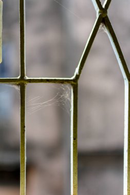 Metal bir kafes yapısını tasvir eden detaylı görüntü, doğal ışıkta ayarlanmış küçük klipsleri içeriyor. Mimari elementleri ve günlük nesnelerle etkileşimlerini, dokuları ve desenleri harmanlamalarını vurgular.