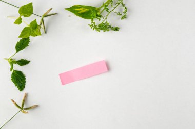 Yeşil bitkinin hassas bir düzeni, beyaz zemin üzerinde pembe yapışkan bir kağıt şeridi çerçeveletip basitliği ve doğal uyumu çağrıştırıyor..