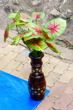 Süslü, kahverengi bir vazoda sergilenen renkli yaprakları olan, fayanslı bir kaldırımda sergilenen bir bitki. Parlak yeşil ve kırmızı yapraklar, doğal çevreyi geliştiren neşeli, dekoratif bir yetenek sağlar..