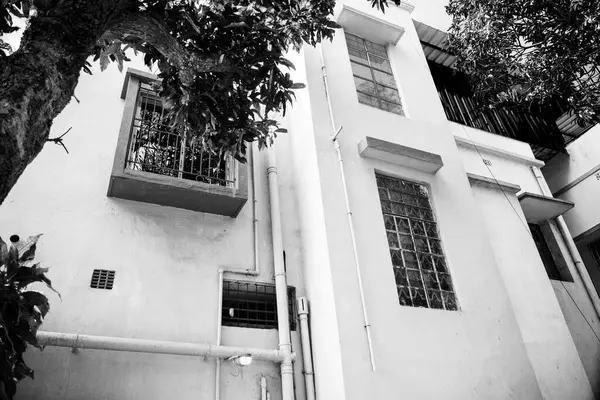 Büyük pencereler, yapısal borular ve ağaç dalları tarafından çerçevelenmiş mimari elementlerin yer aldığı bir binanın tek renkli fotoğrafı.