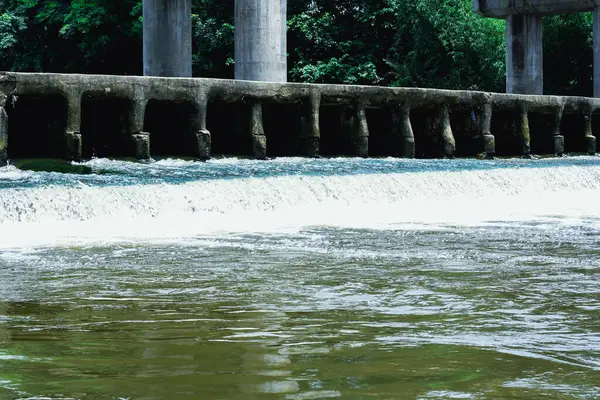 Bereketli yeşilliklerle çevrili, beton bir yapının üzerinden akan sakin ve istikrarlı su, doğanın mühendislik yapılarıyla olan etkileşiminin güzelliğini gözler önüne seriyor, çevresel veya endüstriyel kavramlar için mükemmel..