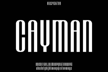 Eşsiz yoğunlaştırılmış yazı tipi vektörü