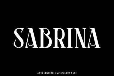 Dekoratif cazibe biçimi serif alfabesi yazı tipi vektörü