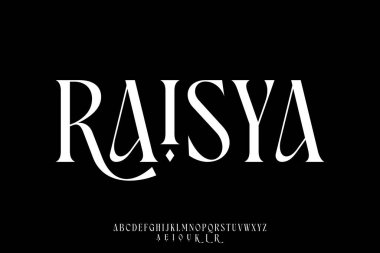 Zarif güzel serif alfabesi yazı tipi vektör cazibe biçimi