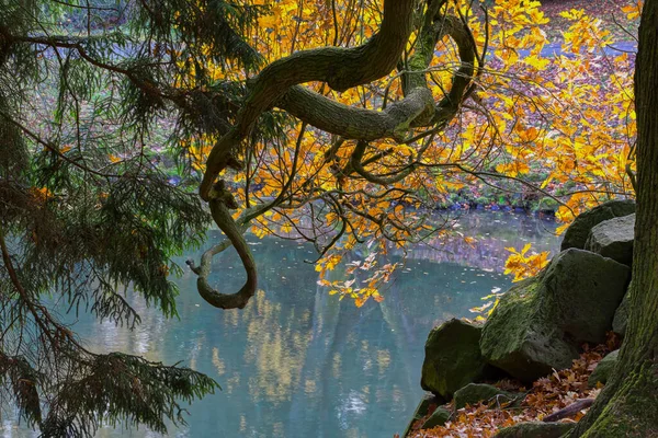 公園の森の橋ロマンチックな秋 — ストック写真