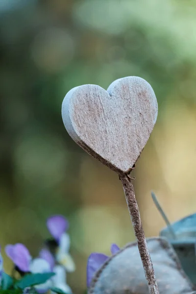 heart of love on the tree