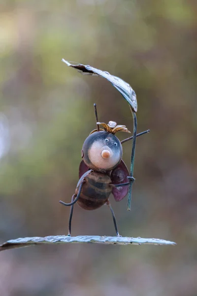 Close Bug Wild Nature — Stock Photo, Image