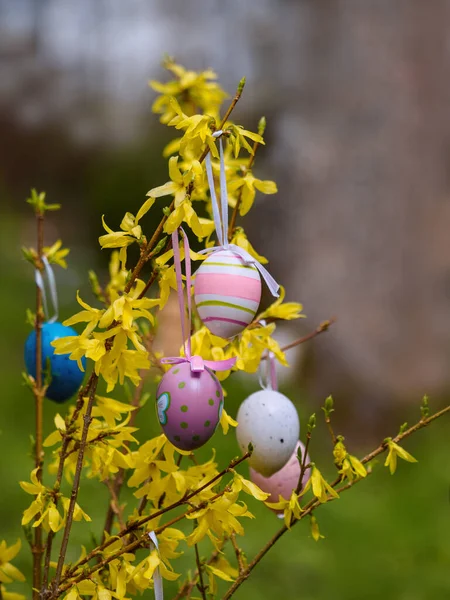 Пасхальные Яйца Гнезде — стоковое фото
