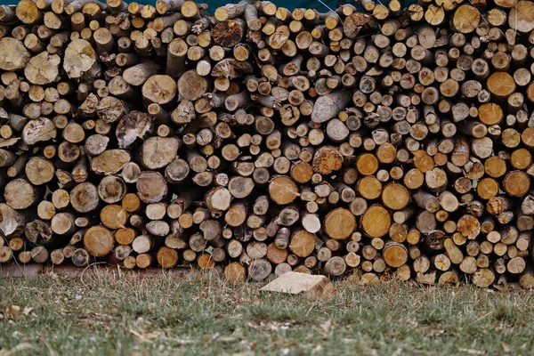 一排排的木制圆木 — 图库照片
