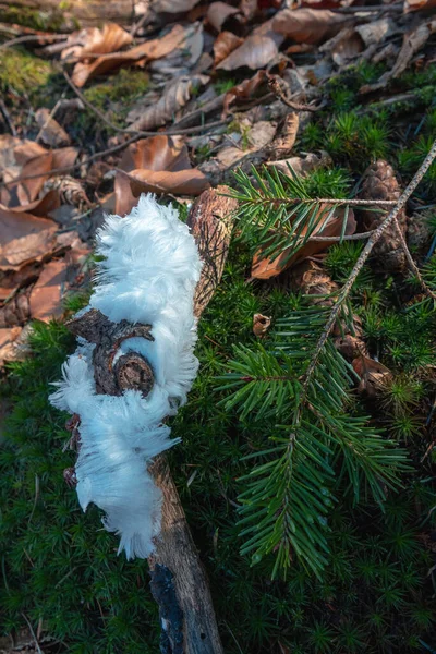 Çok Nadir Bulunan Doğal Gösterişli Saç Buzu — Stok fotoğraf