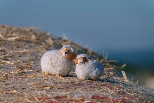 Дві Молоді Красиві Білі Пташенята Пташенята Птахи Снігу — стокове фото
