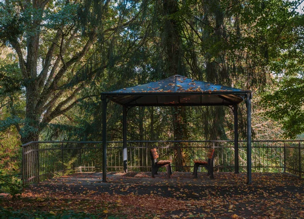 Krásný Záběr Dřevěnou Lavičku Parku — Stock fotografie