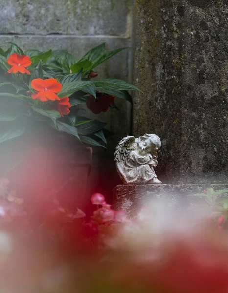 Красивый Снимок Симпатичного Маленького Ангела Красным Сердцем Размытом Фоне — стоковое фото