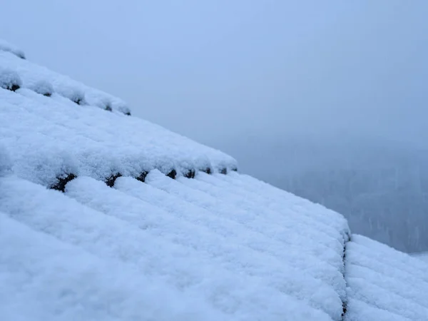 Sneeuw Bedekt Met Witte Pluizige Ijspegels Grond — Stockfoto