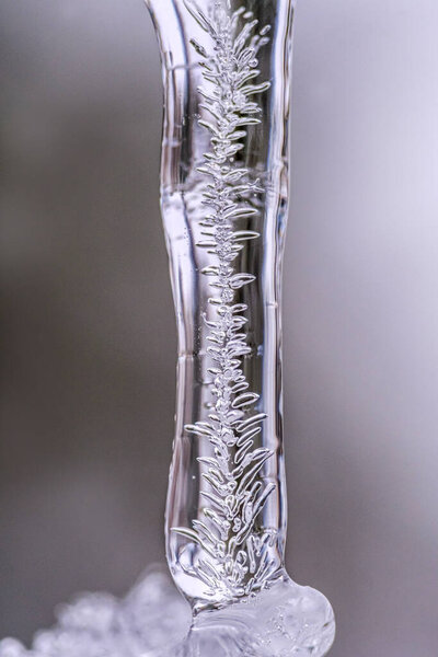 close up of a glass of water