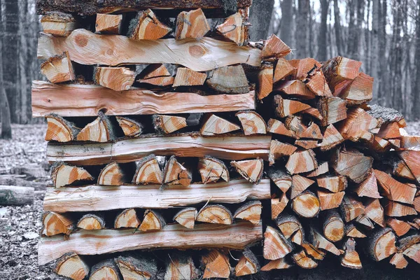薪の丸太 — ストック写真