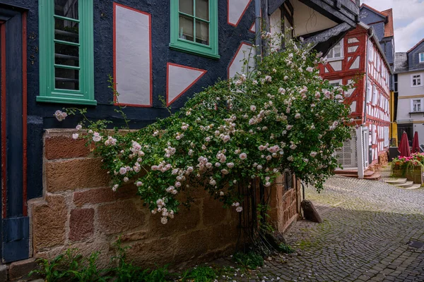 old house, flowers in the garden on a sunny day in a small village in northern europe