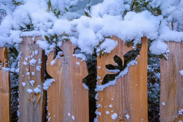 Tavolo Legno Con Una Grande Neve Bianca Ramo Betulla — Foto Stock