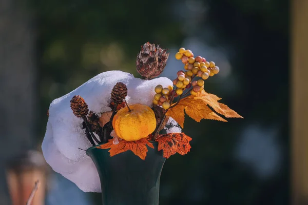 Φθινοπωρινό Φόντο Πεσμένα Φύλλα Στο Δάσος — Φωτογραφία Αρχείου